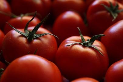 Türkiye’nin domates ihracatı 401 milyon doları aştı