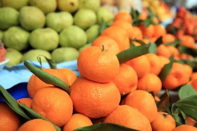 Türkiyenin narenciye geliri 1,4 milyar doları aştı