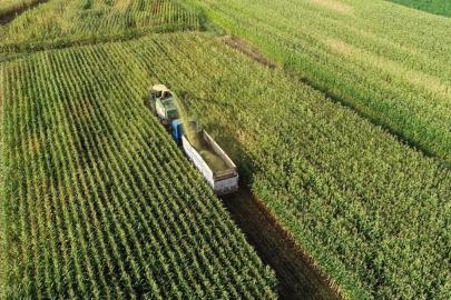 2025 Organize Tarım Bölgeleri istatistik bülteni yayımlandı