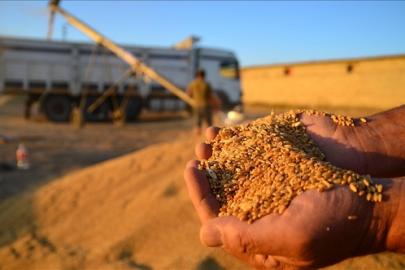 2026'da rekor hasat beklentileri artıyor