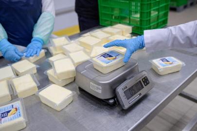 Büyükşehir’den peynir hamlesi  500 gramlık kaşar 165 TL