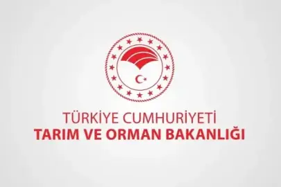 Çiftçilere 94,3 milyon liralık tarımsal destek: Bakanlık ödeme tarihini duyurdu