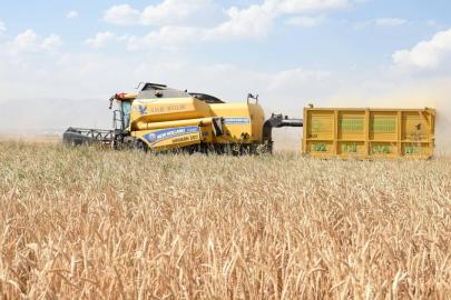 Girişimcilere 114,4 milyon lira hibe aktarıldı