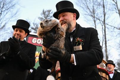 Groundhog Day: Punxsutawney Phil kışın 6 hafta daha süreceğini tahmin etti