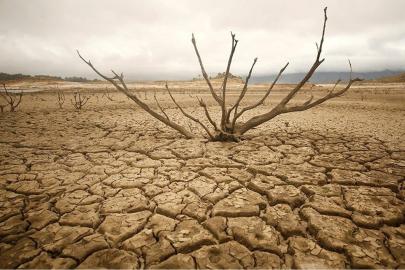Güney Afrika kuraklığı ve su kıtlığını ulusal afet olarak sınıflandırdı