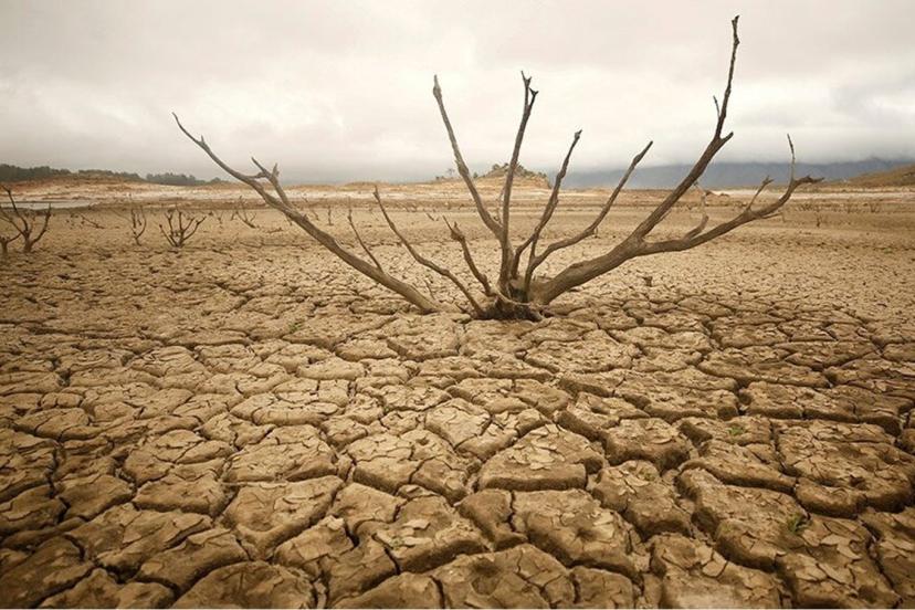 Güney Afrika kuraklığı ve su kıtlığını ulusal afet olarak sınıflandırdı