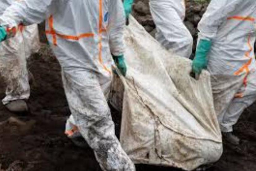 Kongo'da 171 cesedin bulunduğu iki toplu mezar tespit edildi