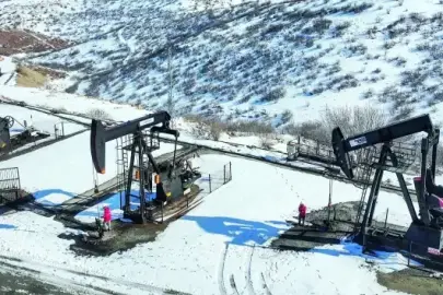 Petrol üretiminin yüzde 28'i dört ilden