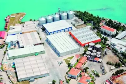 Serbest bölgelerde bulunan üstyapılar Hazine'ye geçiyor