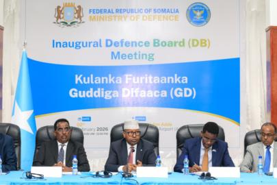 Somali, güvenlik geçişini güçlendirmek için bir savunma kurulu oluşturdu