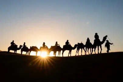 Suudi Arabistan'da "deve pasaportu" projesi