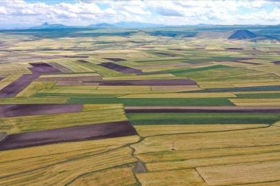 Tarla ve arsa satışı 2025'te 1,6 milyonu geçti