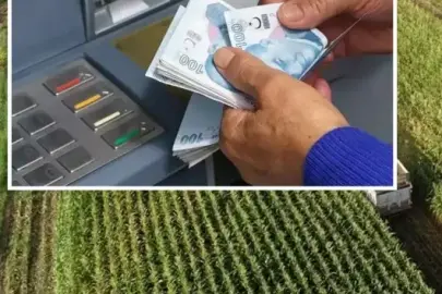 TKDK'dan girişimcilere 114,4 milyon liralık hibe desteği