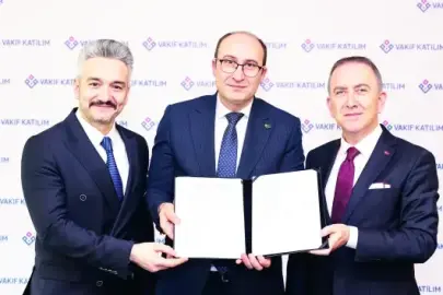 Tohumda iş birliği