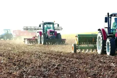 Yağış rekoru tarımı rahatlattı