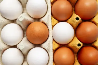 Yumurtanın doğrudan arzında limit artışı... Resmi Gazete'de yayımlandı