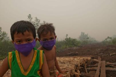 AB raporu: Hava kirliliği her yıl 1200 çocuğun hayatını alıyor