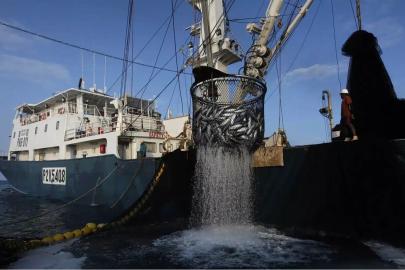 Bakan Yumaklı: Hint Okyanusu'nda yeni bir sayfa açtık