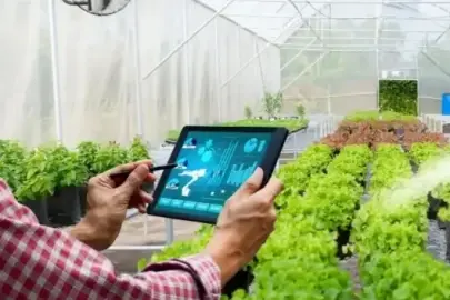 Bakanlıktan 'akıllı tarım' odaklı projelere hibe desteği