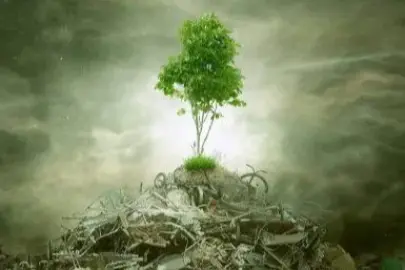 ÇED 'gerekli değil' kararı kaldırıldı! Yönetmelikle süreçler değişti