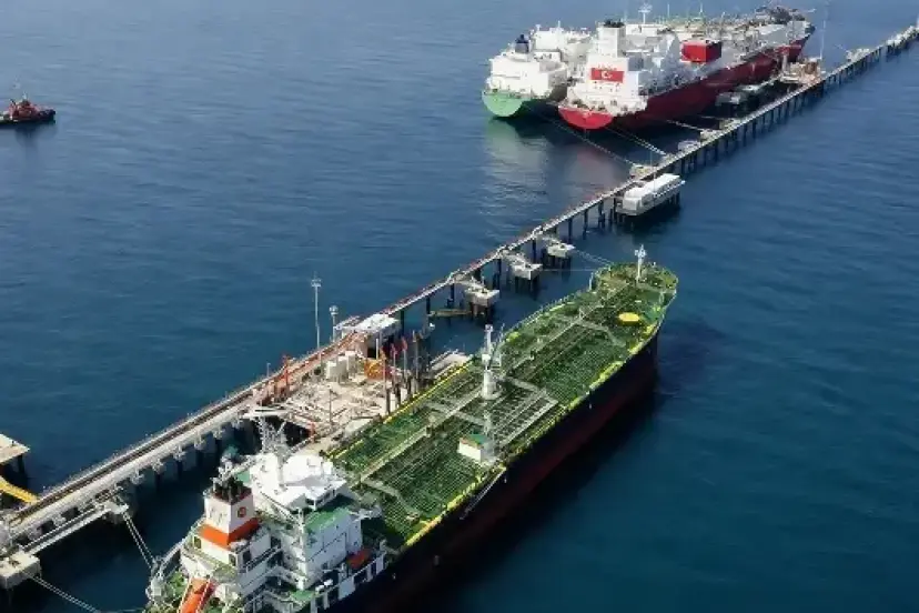 Ceyhan ikinci Rotterdam olabilir