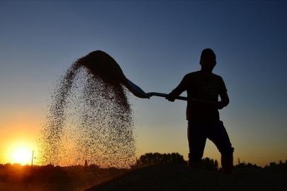 Çiftçilere 10,7 milyar liralık tarımsal destekleme ödemesi bugün yapılacak