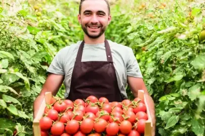 Dijital kredi dönemi