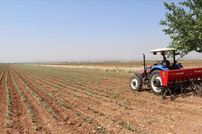 Gübre tedariki için yeni tedbir: Gümrük vergileri sıfırlandı