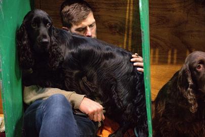 İngiltere: Crufts Birmingham'da 20 binden fazla köpekle başladı
