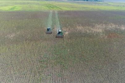 İşlenmeyen tarım arazileri hayata geçirilecek