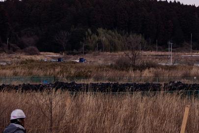 Japonya, deprem, tsunami ve Fukuşima felaketinin 15. yılını anıyor