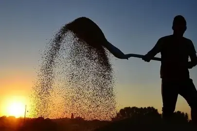 Kırsal Kalkınmaya yaklaşık 65,5 milyarlık destek