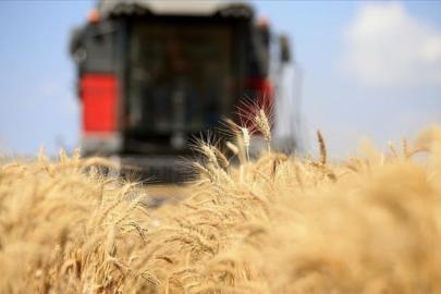 Orta Doğu gerilimi tarım ve gıda fiyatlarını etkiledi