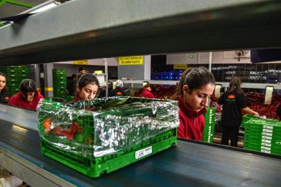 Rusya, İran savaşı sonrası sebze ihtiyacını Türkiye'den karşılamaya başladı