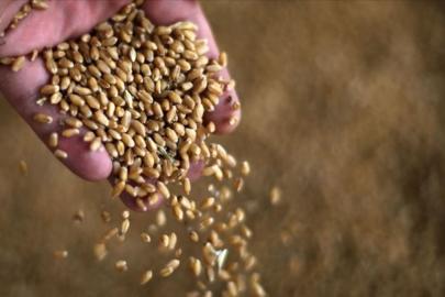 Tahıl grubuna Hürmüz Boğazı darbesi: Fiyatlar tavan yaptı