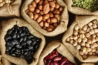 Tahıl tohumlarına kayıt ve sertifika şartı