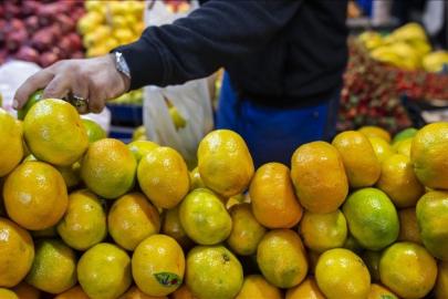 Tarım ve gıda sektörüne ocak ayı ihracatı: 2,4 milyar dolar