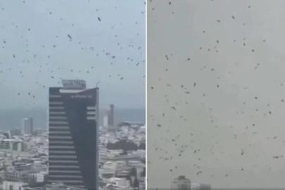 Tel Aviv’de gökyüzünü kargalar kapladı: Uğursuzluk saydılar