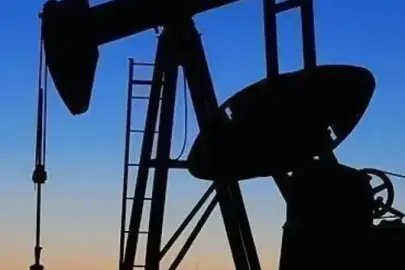 TPAO'nun 3 ilde 2 sahası için petrol arama ruhsatı uzatıldı 