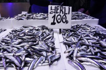 Trabzon'da hamsi ve istavrit bereketi