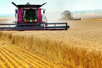 Türkiye’de gıda arzı güvende