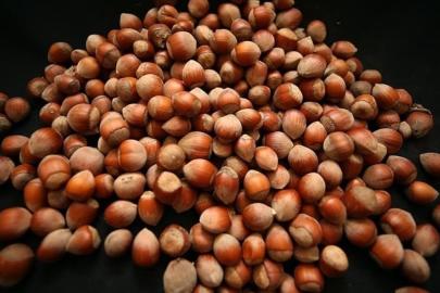 Türkiye'den iki ayda 388 milyon doları aşkın fındık ihracatı geliri