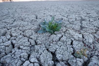 Türkiye'nin kuraklık haritası