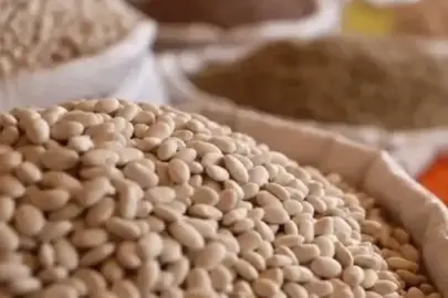 Yılın ilk ayında 2,4 milyar dolarlık tarım ve gıda ihracatı