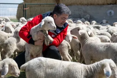 100 küçükbaş hayvan desteğine başvurular 30 Nisan'da sona erecek: Yıllık 180 bin lira destekte bulunacağız 