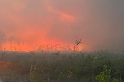 ABD'de orman yangını: 120’den fazla ev küle döndü