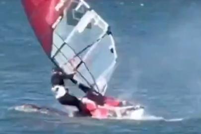 ABD'de sörf yapan bir vatandaş balina ile çarpıştı