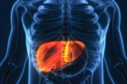 Alkol vücudunuza ne yapıyor?