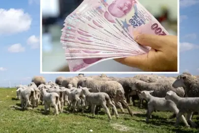 Bakan Yumaklı açıkladı: Kastamonu'ya 784 milyon liralık dev yatırım