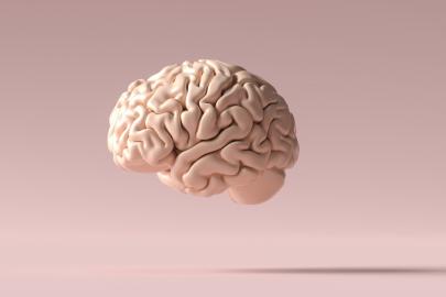 Bilim insanları korkuyu “geçici olarak yok etmeyi” başardı